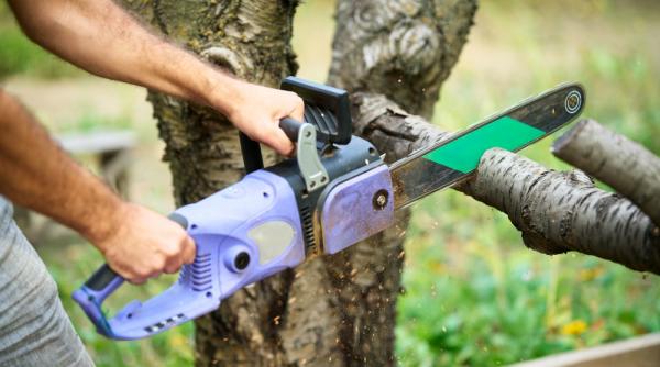 taierea crengilor groase cu drujba electrica ce trebuie sa stii