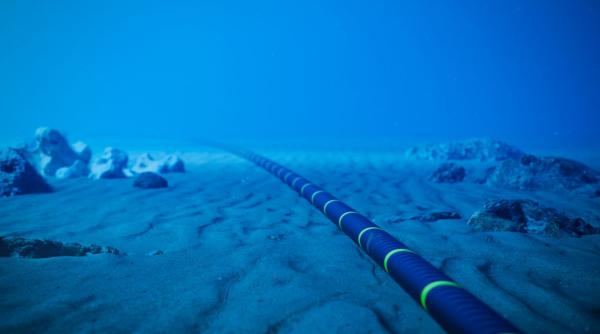 Google va uni India şi SUA cu o reţea de cabluri submarine pentru conectivitatea în Inteligenţa Artificială