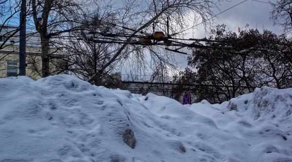 O fată de 16 ani a fost electrocutată după ce un copac a căzut peste cablurile electrice, în Sectorul 6 al Capitalei