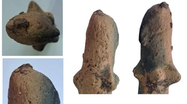 O statuetă străveche din lut, descoperită în Sfântu Gheorghe, va fi clasată ca „tezaur”. Cum a fost găsit artefactul misterios