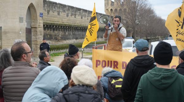 carnea de vita si de miel primeste de 580 de ori mai multe subventii ue decat leguminoasele arata un studiu
