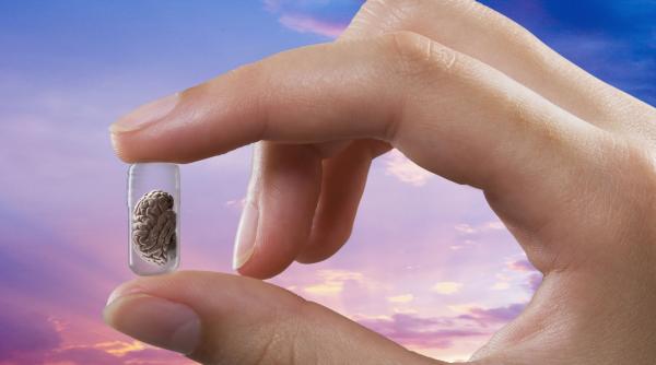 gata oamenii de stiinta au dezvoltat mini creiere apoi le au antrenat sa rezolve o problema de inginerie