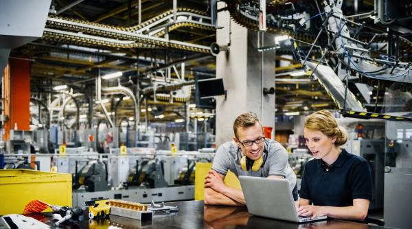 ins majoritatea sectoarelor industriale au crescut in 2025 cu exceptia industriei energetice