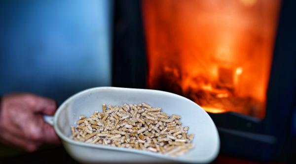 poluarea provocata de arderea lemnului duce la 8 600 de decese premature anual in sua