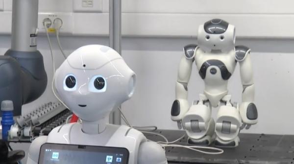 robotii viitorului sunt creati la cluj de la caine robot la barista automat