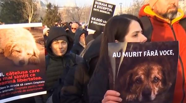 Peste 1.000 de oameni, prezenţi la protestul organizat după tragedia de la Suraia