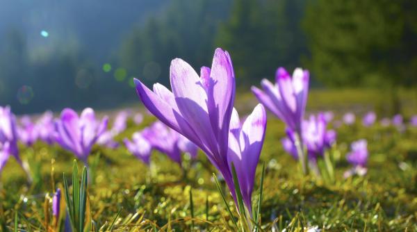 prognoza meteo pana pe 8 martie temperaturile urca pana la 16 grade in unele zone unde si cand va ploua