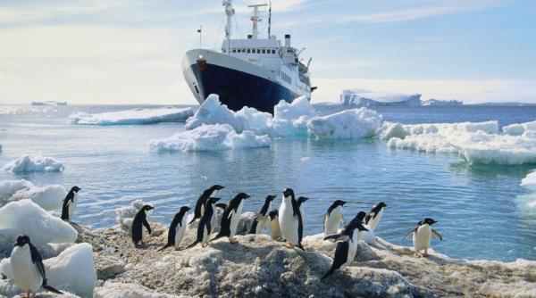 Se caută frizeri, bucătari și electricieni în Antarctica, cu salariu de la 35.000 de euro pe an. Ce implică munca la - 40 de grade