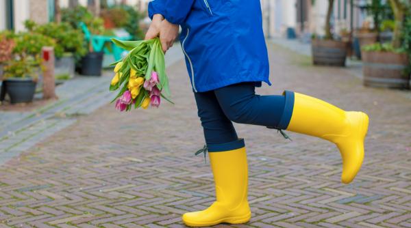 ploi lapovita si conditii de polei in bucuresti de dragobete la ce temperaturi sa ne asteptam prognoza anm pentru capitala