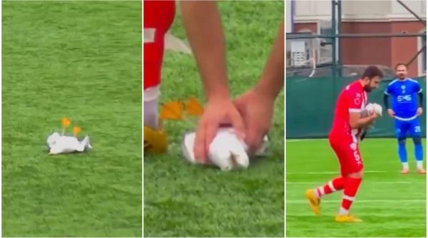 video un meci de fotbal a fost intrerupt pentru ca un jucator sa resusciteze un pescarus lovit de minge in istanbul