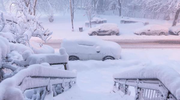 viscol istoric in sua stratul de zapada are aproape un metru sute de mii de case fara curent electric si mii de zboruri anulate