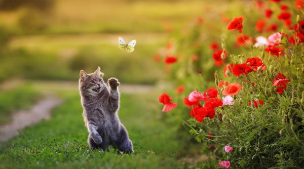 scapam de frig si ninsori vremea se schimba radical prognoza anm pentru luna martie