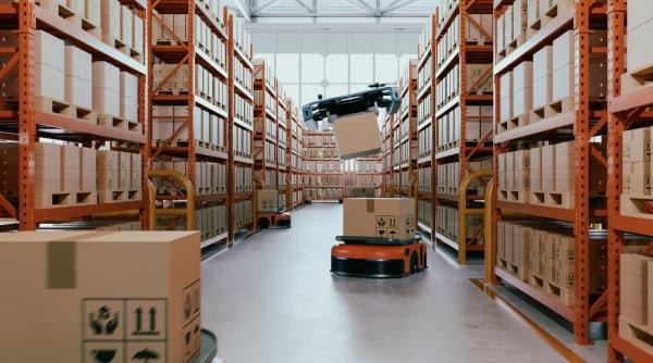 depozitarea inteligenta cum isi optimizeaza firmele spatiul in contextul scumpirii chiriilor