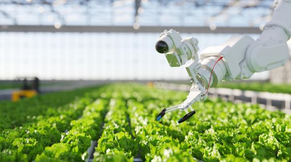 gigantii tehnologici si sistemele al din agricultura se joaca cu sistemul alimentar al lumii experti au ajuns sa decida ce mancam