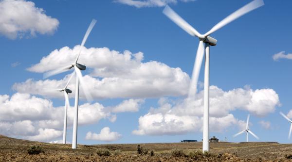 Investitori străini, avize întârziate și riscuri: cele mai mari provocări ale energiei eoliene în România