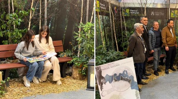 ilfovul vrea sa transforme padurea caldararu intr un parc natural zero waste un sanctuar in natura construit din deseuri