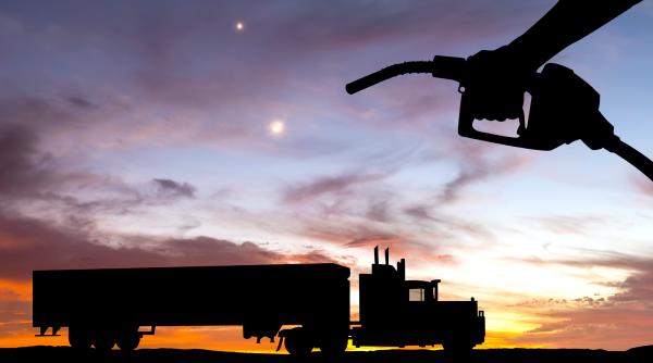 transportatorii cer guvernului reducerea cel putin la jumatate a accizelor la motorina si benzina pentru a evita o criza economica