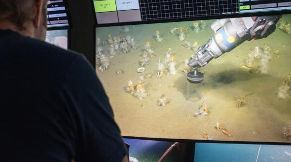 este toata viata complexa de pe pamant legata de un concept din mitologia nordica intr un fel da