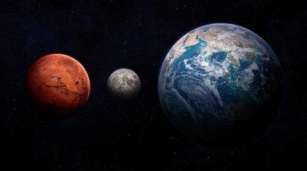 un experiment pe o specie de bacterie schimba ce se stia despre cum a aparut viata pe pamant ce scenariu e tot mai plauzibil