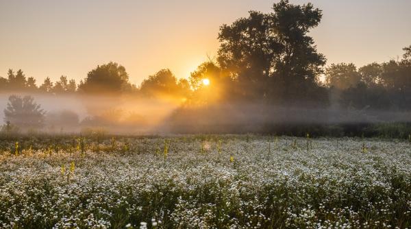 anm anunta temperaturi de 18 grade celsius si cer senin in urmatoarea saptamana in toata tara prognoza meteo pana in 15 martie