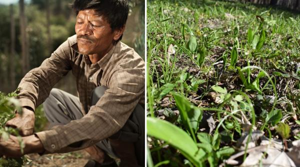 un fermier pierde 1 000 de euro pe zi pentru ca un angajat nepalez nu primeste viza