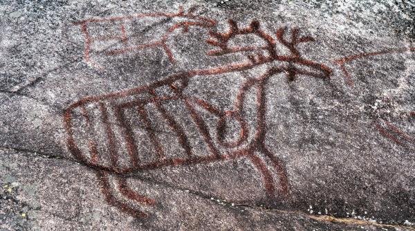 un copil din epoca de piatra a fost descoperit de arheologii din suedia inmormantat in piele de caprioara