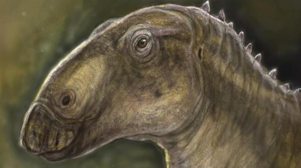 O nouă specie de dinozaur a fost descoperită în Geoparcul Internaţional UNESCO Ţara Haţegului