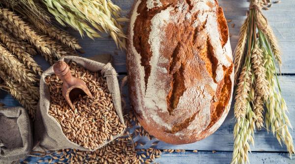 razboiul scumpeste painea pretul graului este aproape de cel mai ridicat nivel din ultimii ani