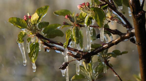 un val de aer polar ajunge peste romania luna aceasta cand se raceste vremea in martie prognoza anm arata si inversiuni termice