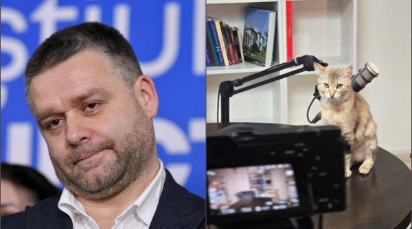 Ciucu anunță că-și face podcast: "Nu mă scălâmbăi trei secunde pe TikTok, să cultiv ură". A postat deja o poză cu pisica la microfon
