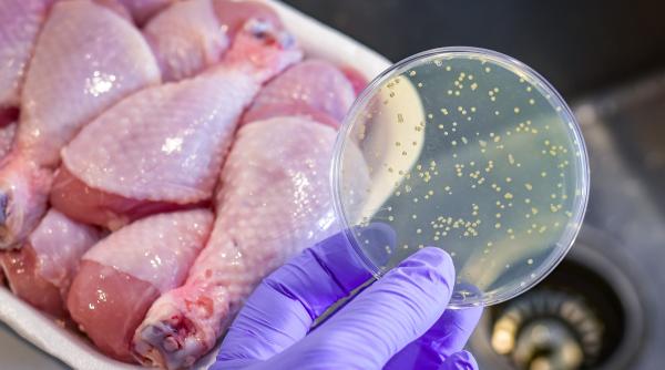 Alertă alimentară în Buzău: carne tocată de pui, posibil contaminată cu Salmonella, retrasă din magazine