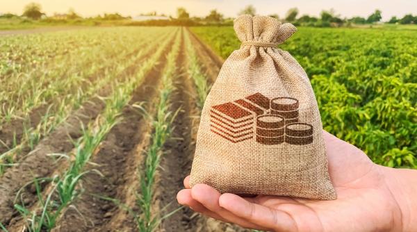 APIA a început campania de depunere a cererilor de plată pentru 2026. Până când pot depune fermierii solicitările