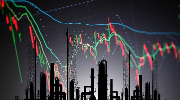 economist nu rezolvi nimic cu masuri de imagine de ce guvernul nu poate interveni eficient in criza carburantilor