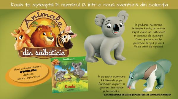 Koala și furnicarul pornesc într-o nouă aventură! Numărul 12 din „Animale din sălbăticie”, de marți la chioșcuri