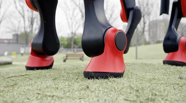 chinezii lanseaza ponei roboti in editie limitata pentru a marca anul calului de foc cum arata cat costa si ce viteza pot atinge