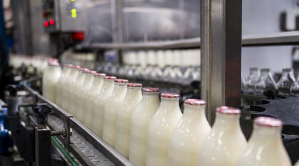 Laptele românesc dispare din piață: fermierii vând în pierdere, iar importurile sufocă producția internă