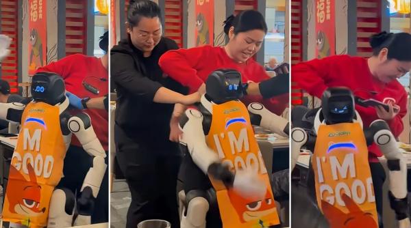 momentul in care un robot umanoid angajat la un fast food din california o ia razna in fata clientilor colegii nu stiu sa l opreasca