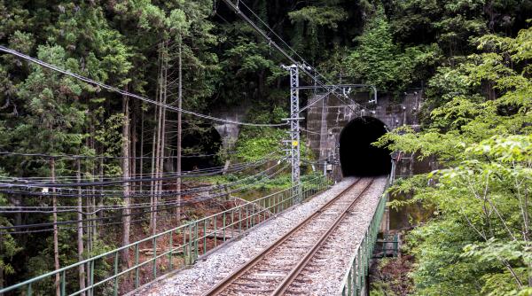 Un român a blocat trenurile de mare viteză din Germania, după ce a intrat beat într-un tunel. Abia ieșise din închisoare
