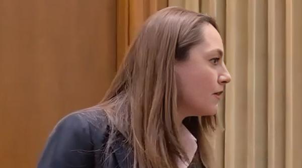Anamaria Gavrilă a făcut o criză de nervi în plen. A țipat la o colegă deputat: „Stai în banca ta”