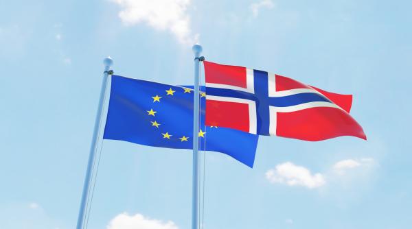 lidera opozitiei din norvegia spune ca tara ar trebui sa incerce iar aderarea la ue ultimul referendum a fost respins in 1994