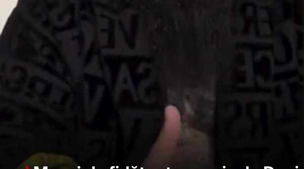 mesajul sfidator transmis de dani mocanu catre justitie inainte de a fi extradat din italia ma duc la puscarie ca la cofetarie