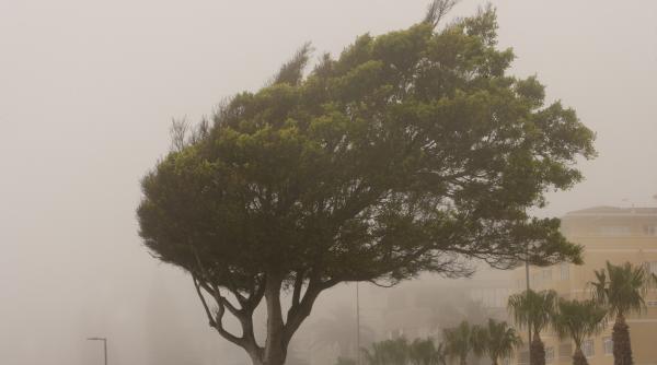 meteorologii au prelungit codul galben de vant puternic pana sambata in cinci judete si in bucuresti