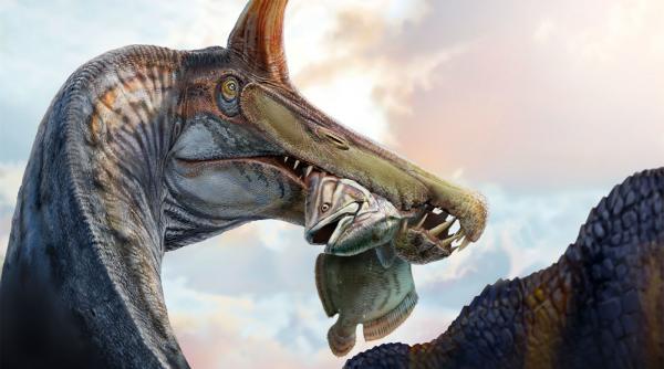 a fost descoperita prima specie de spinosaurus din ultimul secol cum ar fi aratat starcul iadului