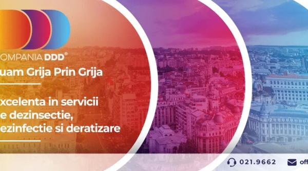 Compania DDD®: soluții profesionale pentru protejarea blocurilor și locuințelor împotriva dăunătorilor