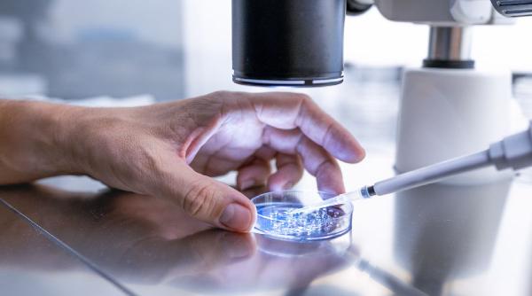 robert f kennedy jr vrea sa dea liber la peptide in sua folosirea acestora este controversata e cel mai mare experiment medical