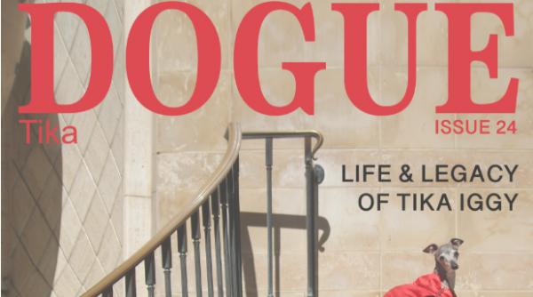 vogue da in judecata revista dogue pentru prejudicii de imagine din cauza asemanarii cu numele si logo ul sau