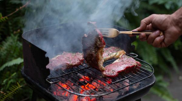 o universitate din china a lansat un program de studii dedicat gratarului la final cursantii devin specialisti in domeniu