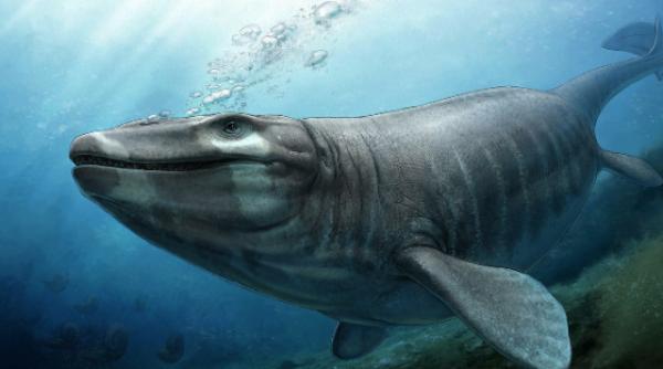 un monstru marin din era dinozaurilor a fost descoperit in mexic nu exista nimic mai mare sau mai periculos decat el