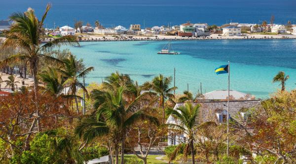 intr o destinatie turistica populara rechinii au fost depistati cu cocaina si cofeina altii aveau in sange paracetamol ori diclofenac