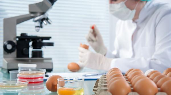 Cum transformi un ou de găină într-o fabrică de medicamente